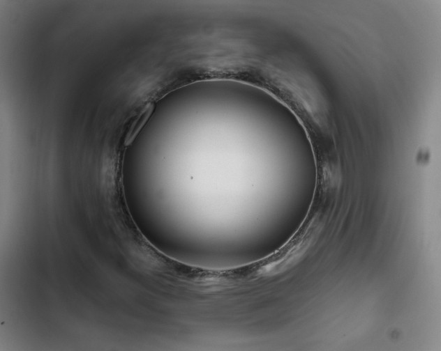 X0000103311300200808291419