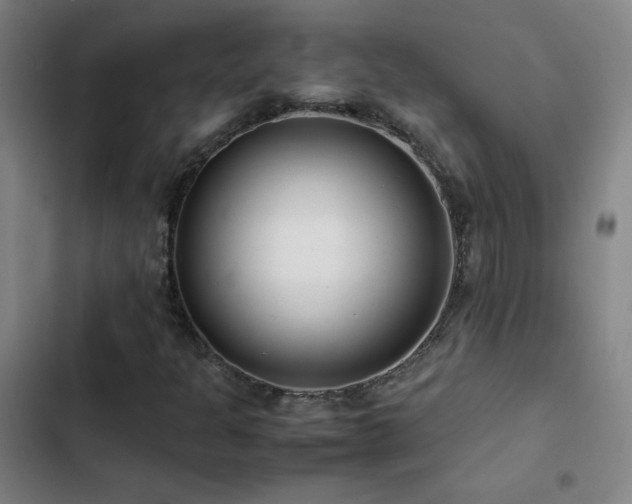 X0000103311301200808291419