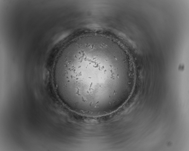 X0000103311302200808291419