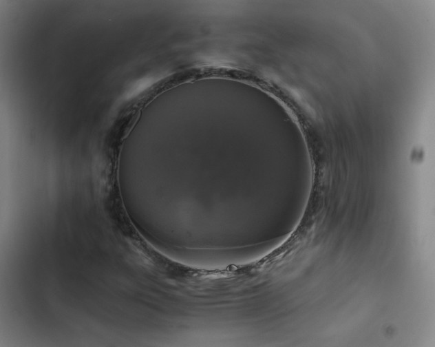 X0000103311303200808291419