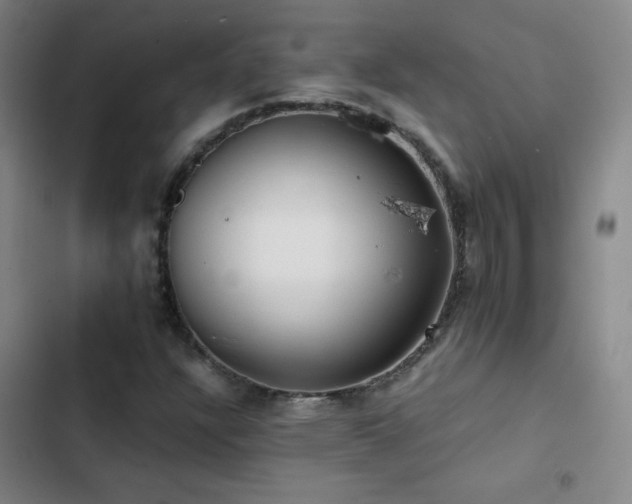 X0000103311304200808291419