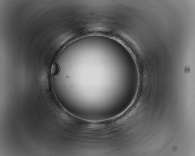 X0000103311305200808291419