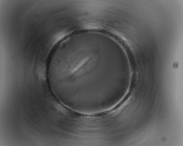 X0000103311306200808291419