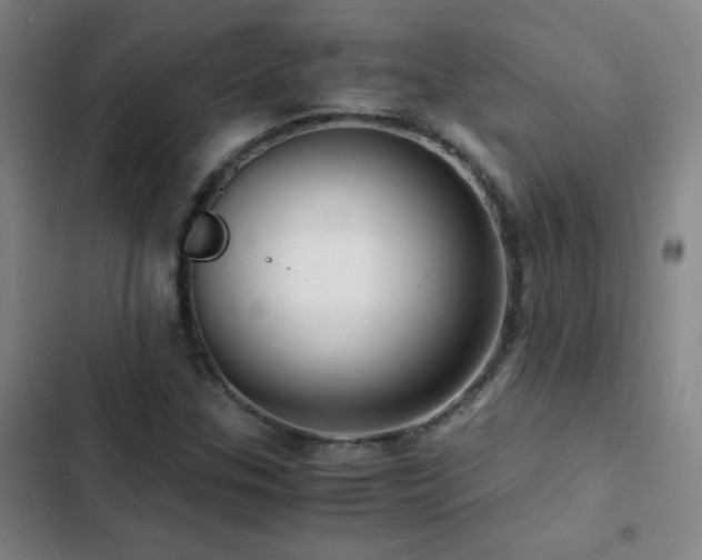 X0000103311307200808291419