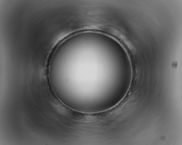 X0000103311308200808291419