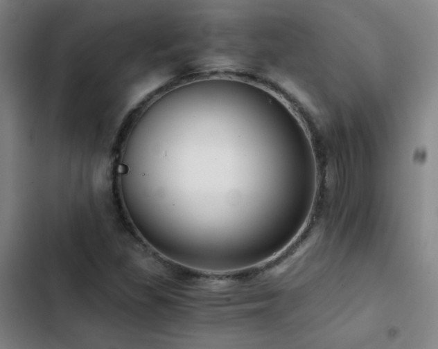 X0000103311309200808291419