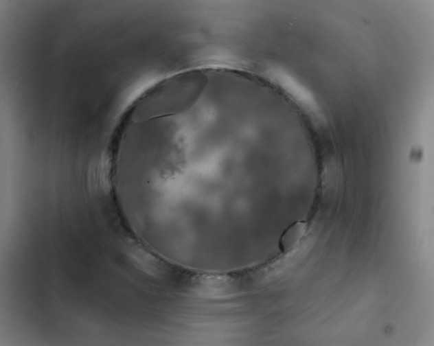 X0000103311310200808291419