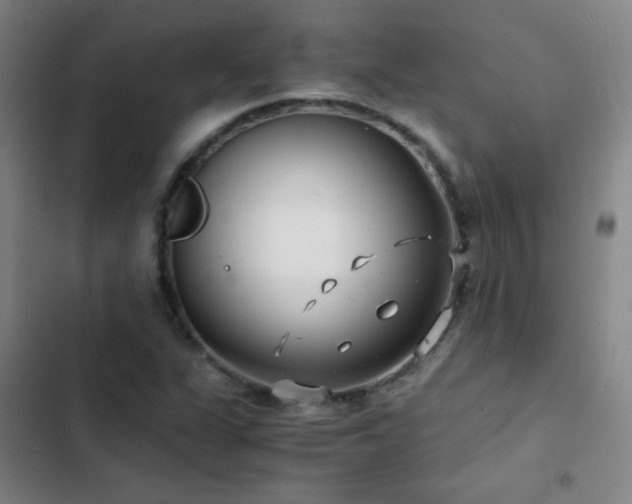 X0000103311311200808291419