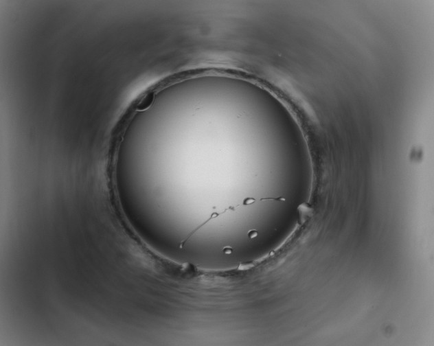X0000103311312200808291419