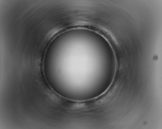 X0000103311313200808291419