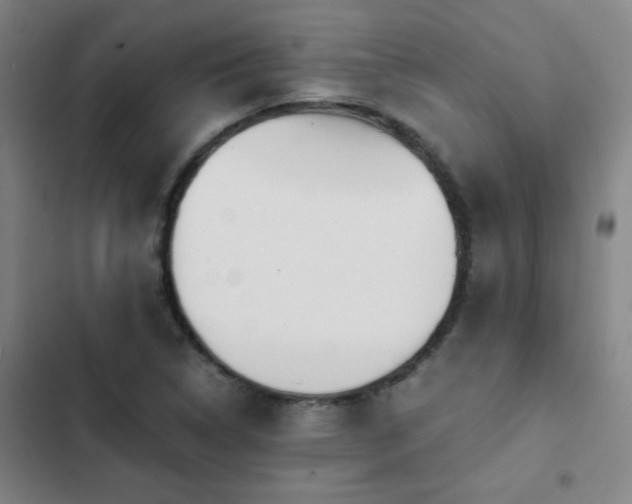 X0000103311314200808291419