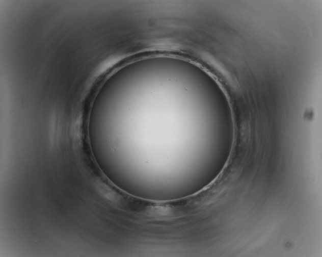 X0000103311315200808291419