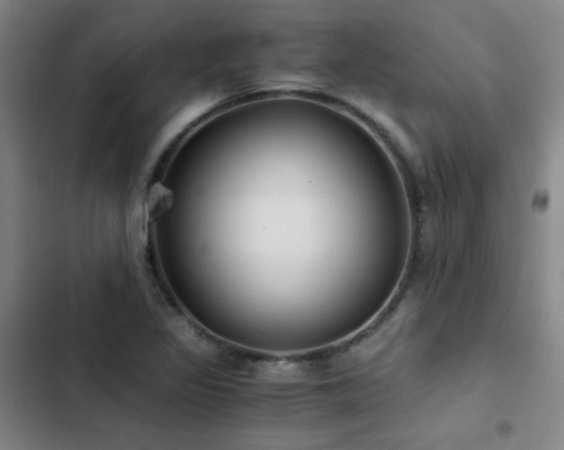 X0000103311317200808291419