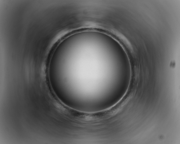 X0000103311318200808291419