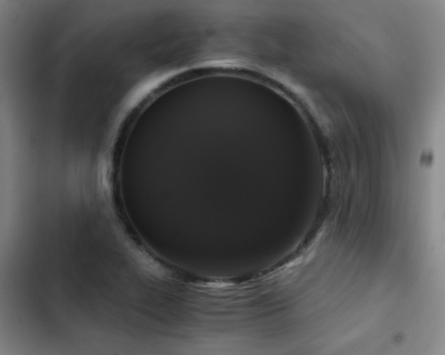 X0000103311319200808291419