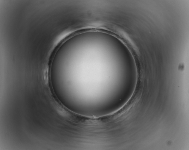 X0000103311320200808291419