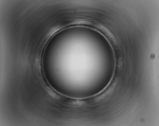 X0000103311321200808291419