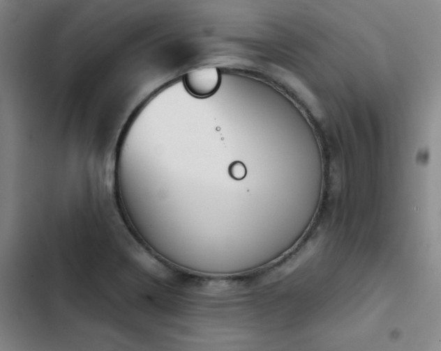 X0000103311322200808291419