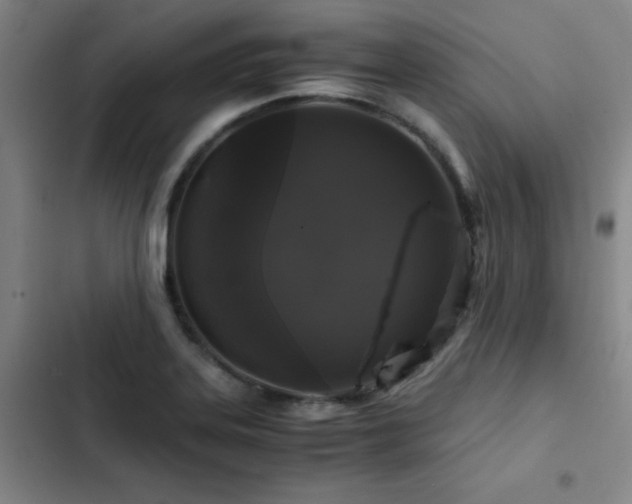 X0000103311323200808291419