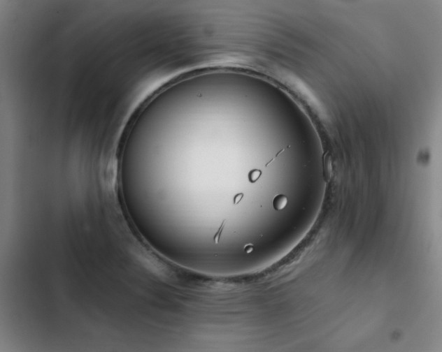 X0000103311324200808291419