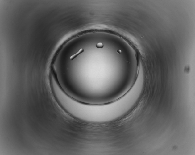 X0000103311326200808291419