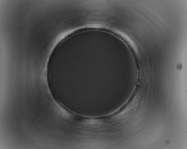 X0000103311327200808291419