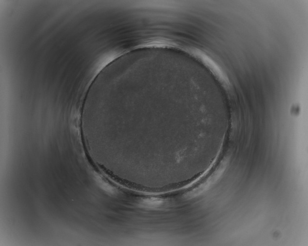 X0000103311329200808291419