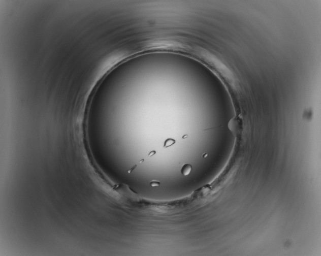 X0000103311330200808291419