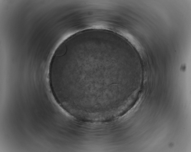 X0000103311331200808291419