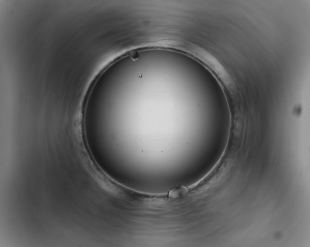 X0000103311332200808291419