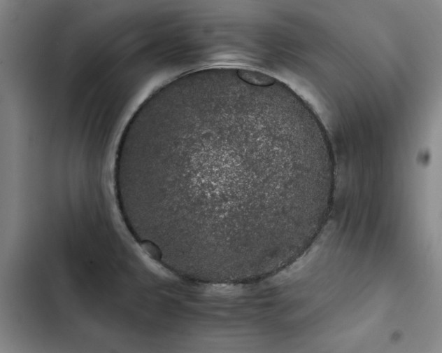 X0000103311333200808291419