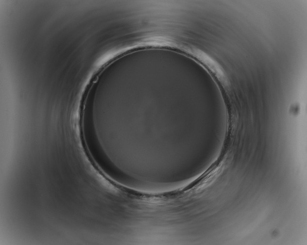 X0000103311334200808291419