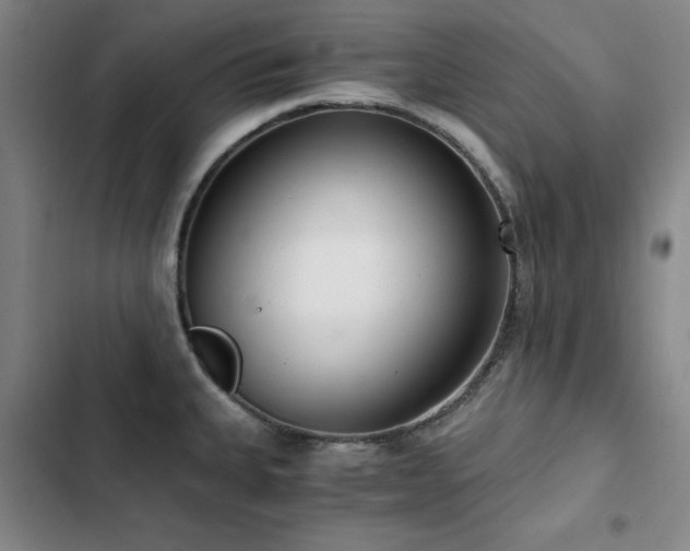 X0000103311335200808291420