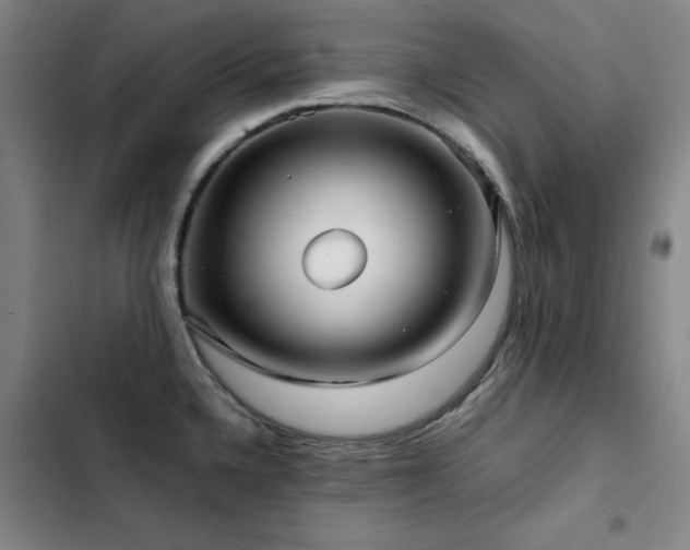 X0000103311336200808291420
