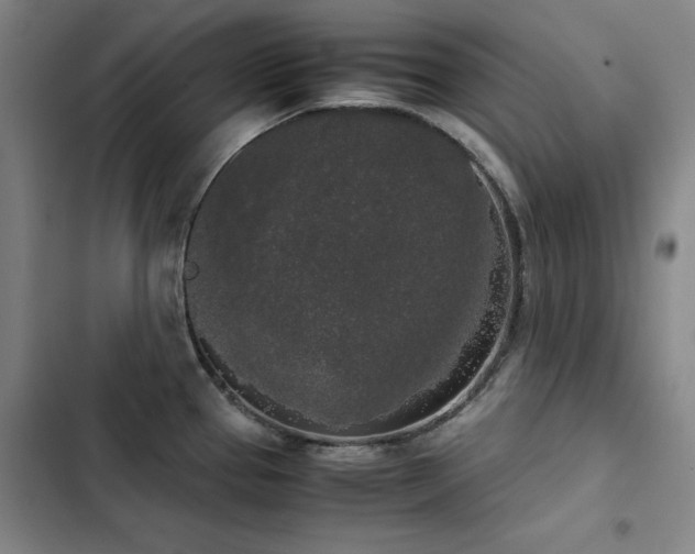 X0000103311337200808291420