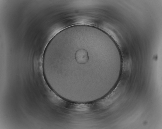 X0000103311338200808291420
