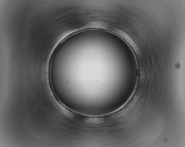 X0000103311339200808291420