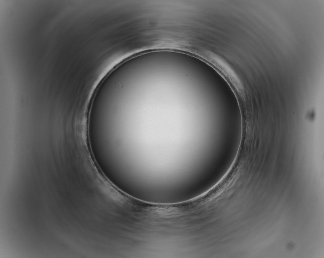 X0000103311340200808291420