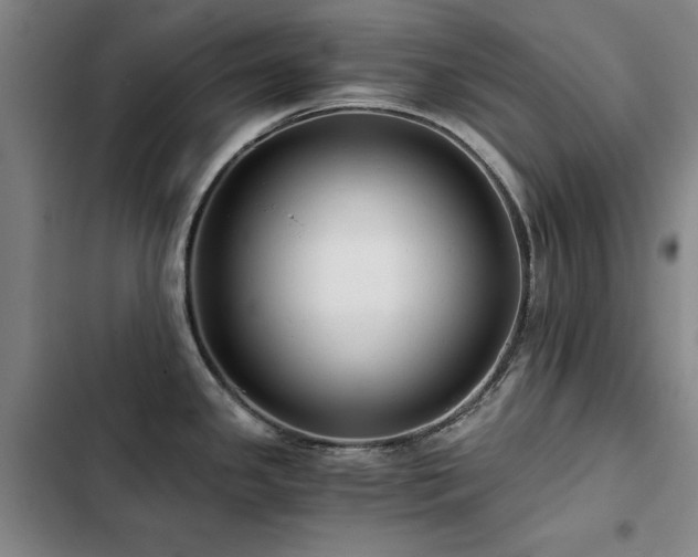 X0000103311341200808291420
