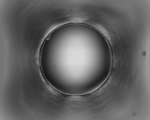 X0000103311342200808291420