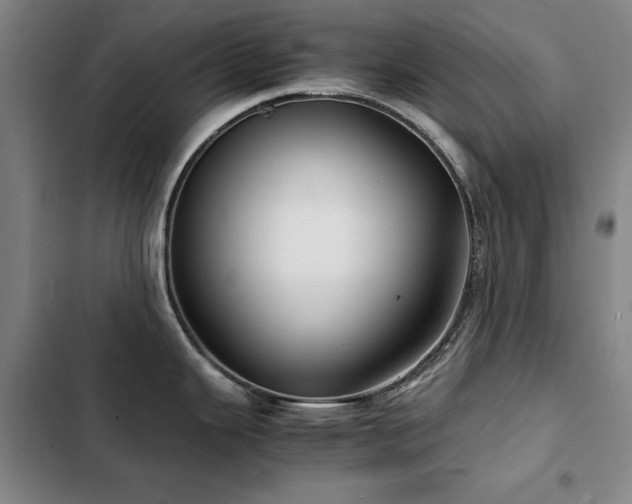 X0000103311343200808291420
