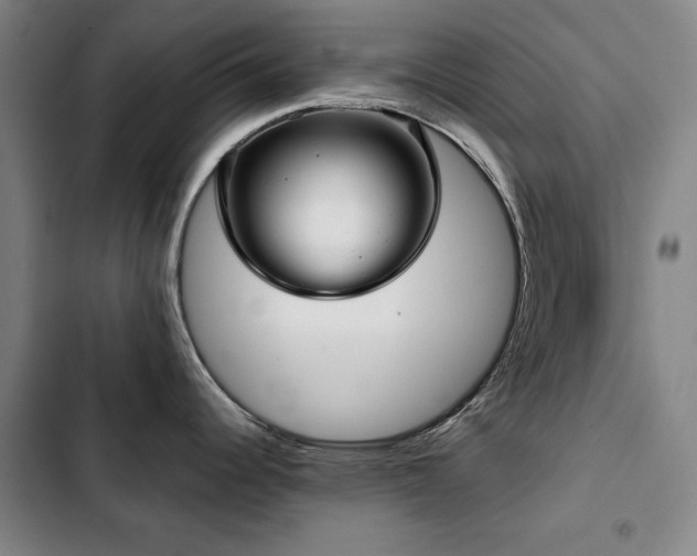 X0000103311344200808291420