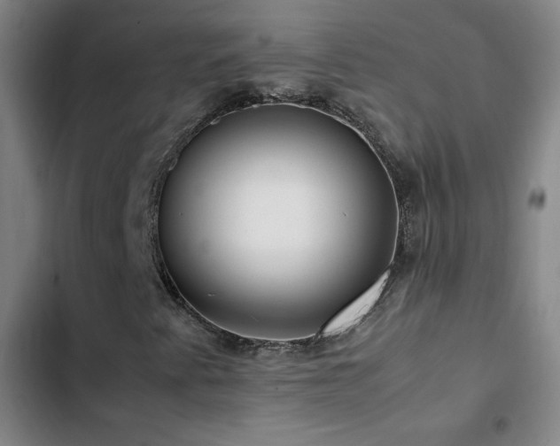 X0000103311345200808291419