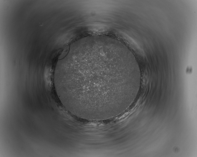 X0000103311346200808291419