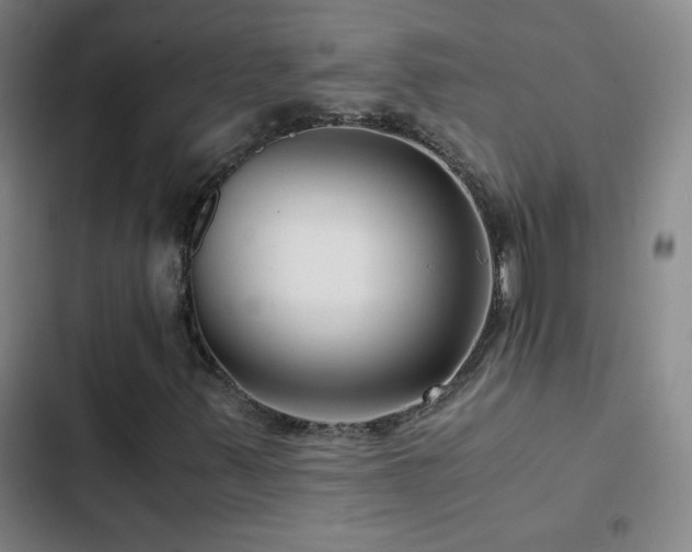 X0000103311347200808291419