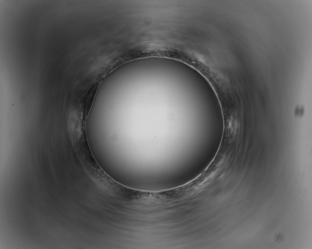 X0000103311348200808291419