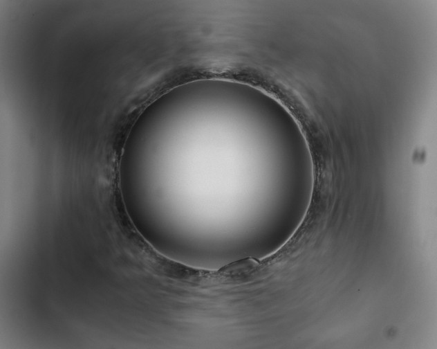 X0000103311349200808291419