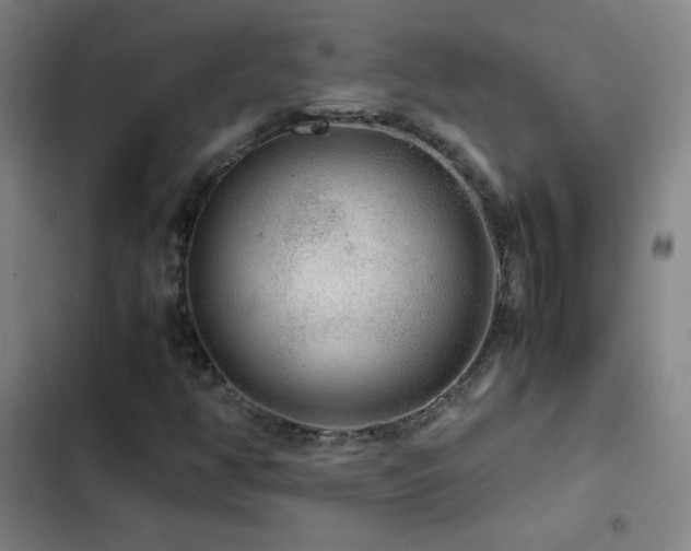 X0000103311350200808291419