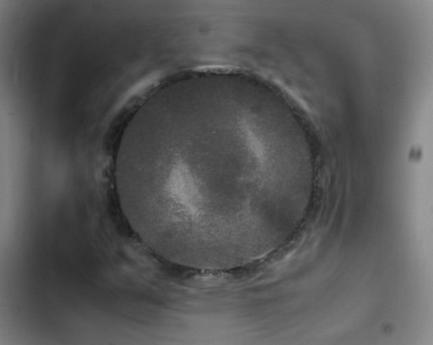 X0000103311351200808291419