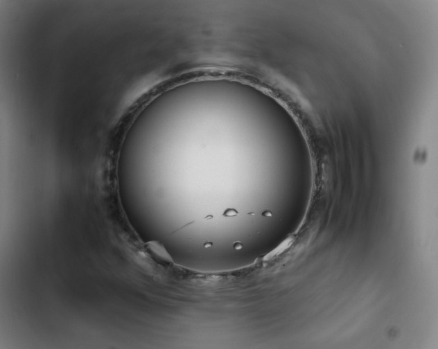 X0000103311352200808291419